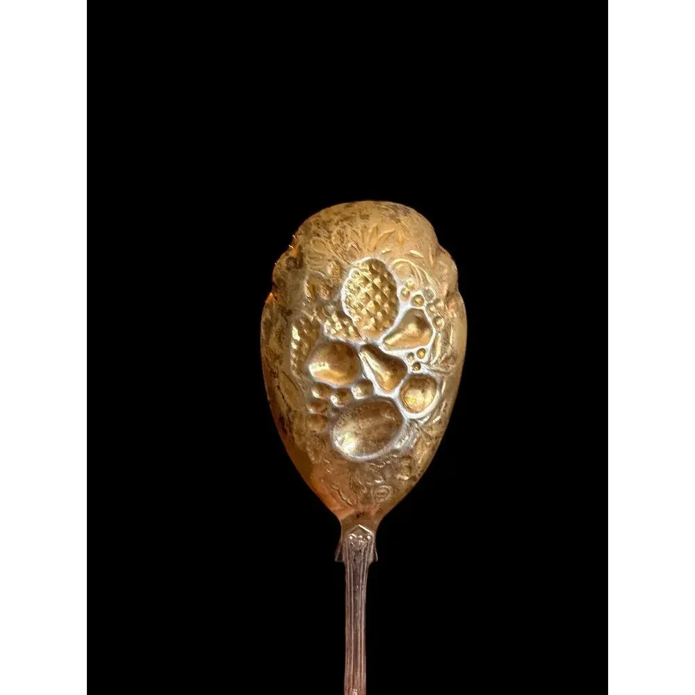 Vintage S.G. Sheffield, RATTAIL Silver Plate, EPNS A1 Raised Fruit Serving Spoon